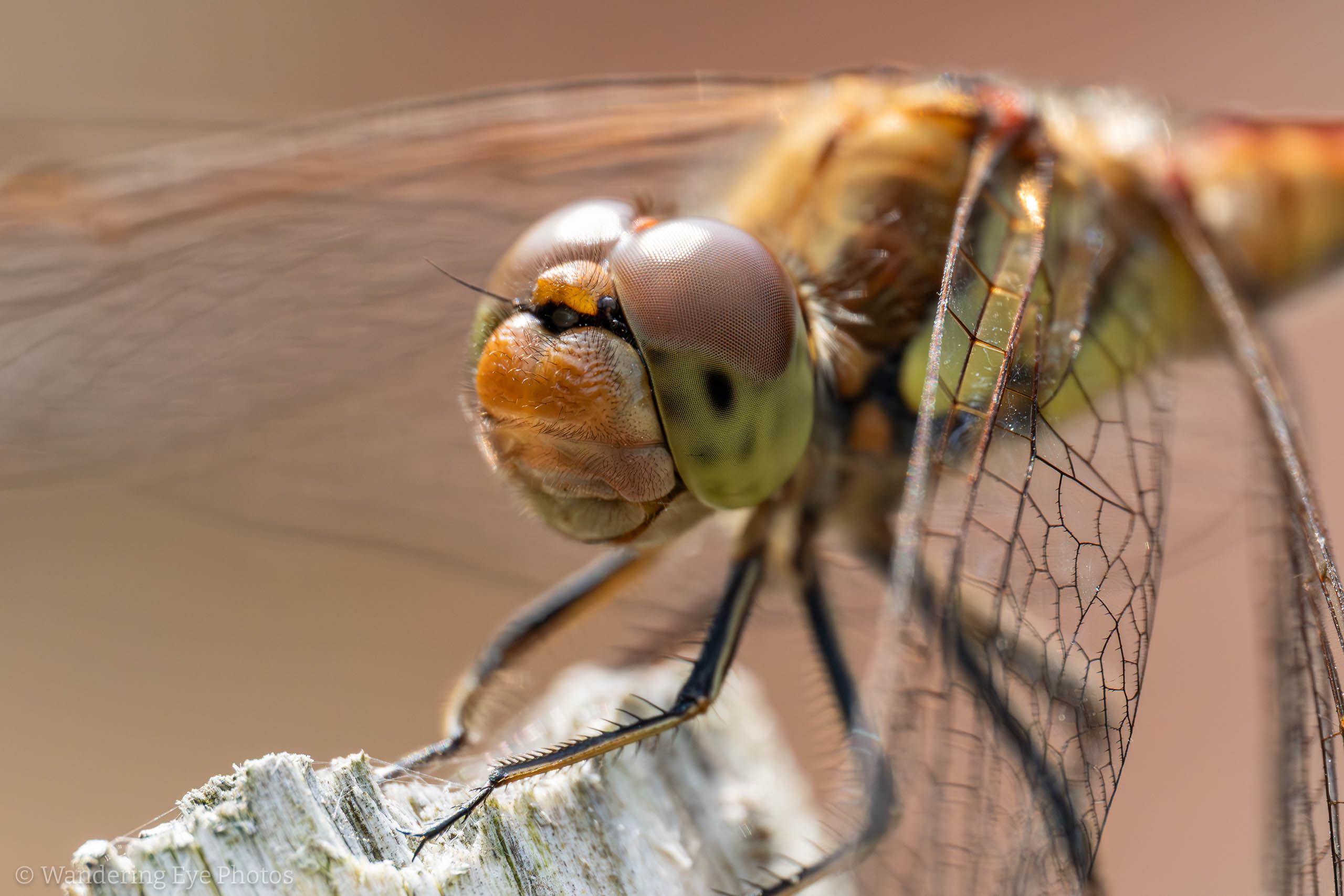 08.19 13.37.04   P8190601